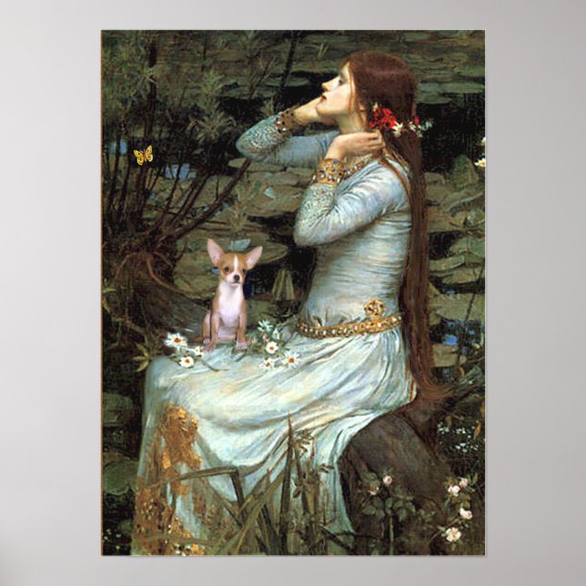 Affiches Chihuahua 1 - Ophelia assis (Devant)