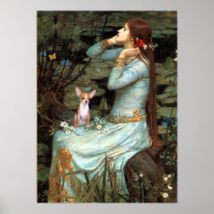 Affiches Chihuahua 1 - Ophélie assise
