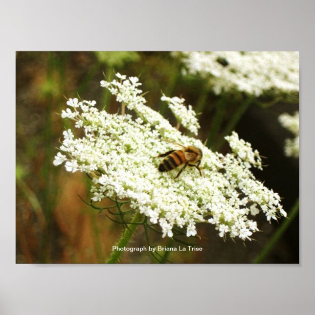 Affiches Chimie (Devant)