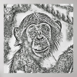 Affiches Chimpanzé 20161101