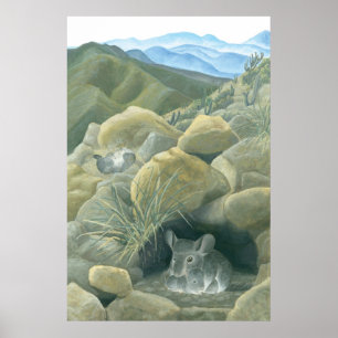 Affiches Chinchillas en pleine nature