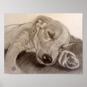 Affiches Chiot de sommeil