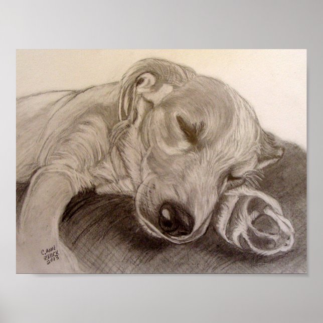 Affiches Chiot endormi (Devant)