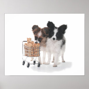 AFFICHES CHIOTS AVEC LE CHARIOT