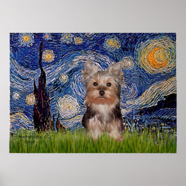 Affiches Chiots Terrier du Yorkshire - Nuit étoilée (Devant)