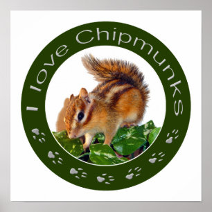 Affiches Chipmunk