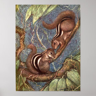 Affiches Chipmunks par Louis Sargent, Vintages animaux sauv