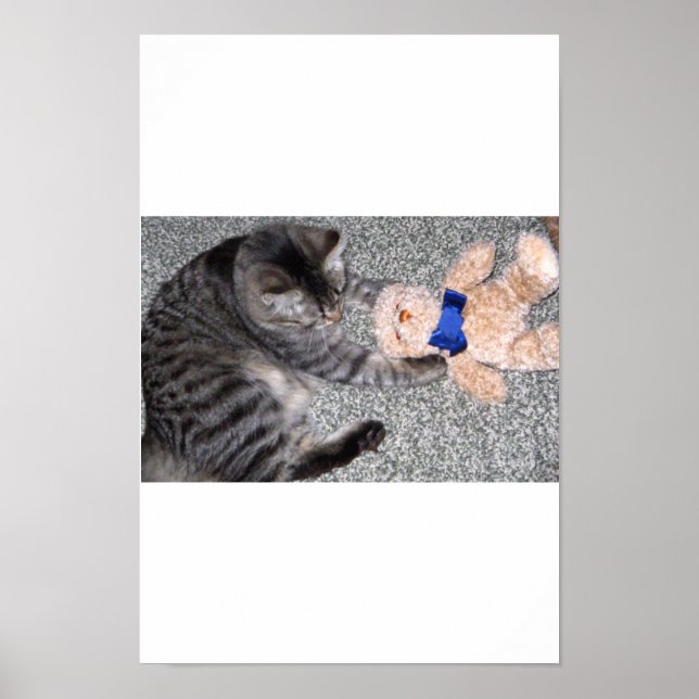 Affiches "Chiro-Cat" (Devant)