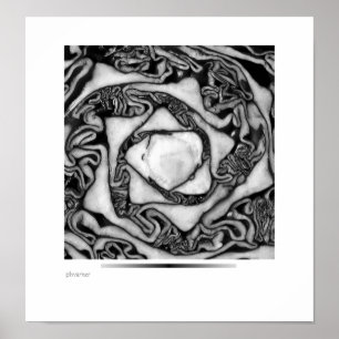 Affiches chou, noir et blanc
