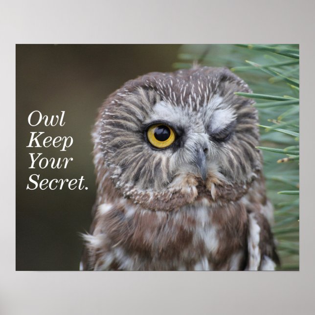 Affiches Chouette à mâchoires (Devant)