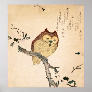 Affiches Chouette et magnolia - Kobushi ni mimizuku