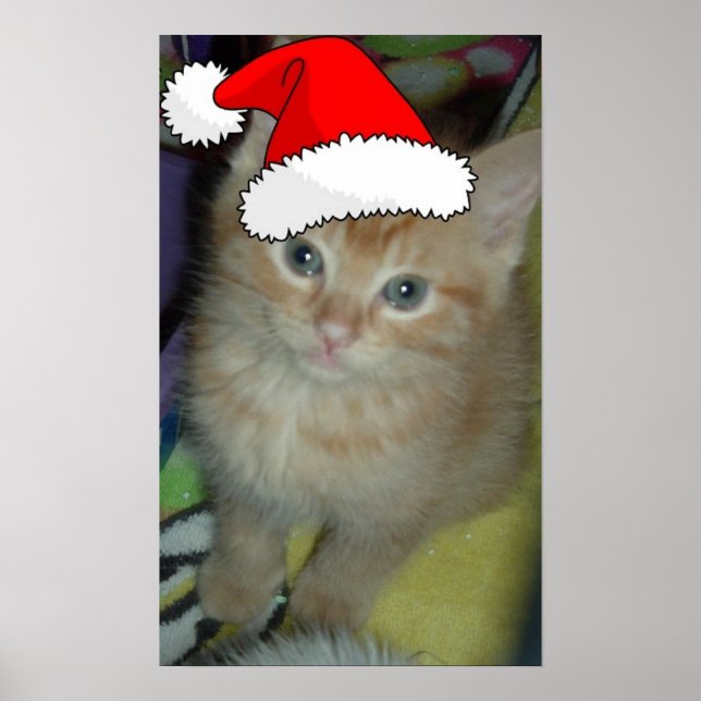 Affiches Christmas Orange Tabby Kitten (Devant)