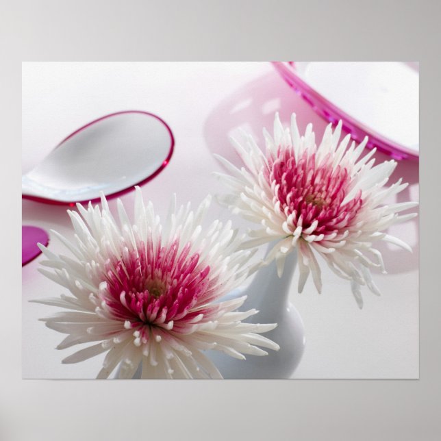 Affiches Chrysanthèmes (Devant)