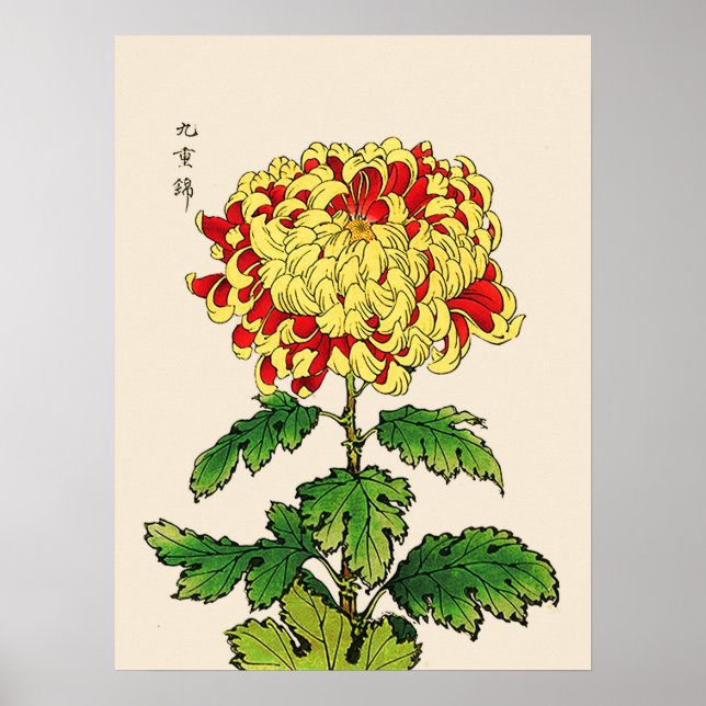 Affiches Chrysanthemum japonais vintage. Mustard Yellow (Devant)