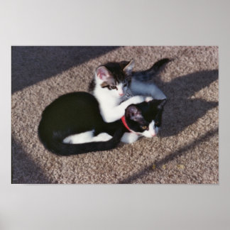 Affiches Chuda et Sami