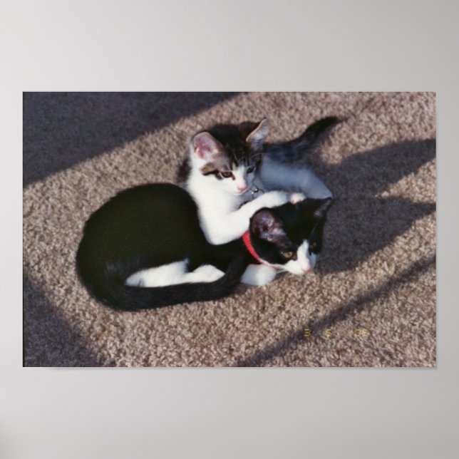 Affiches Chuda et Sami (Devant)