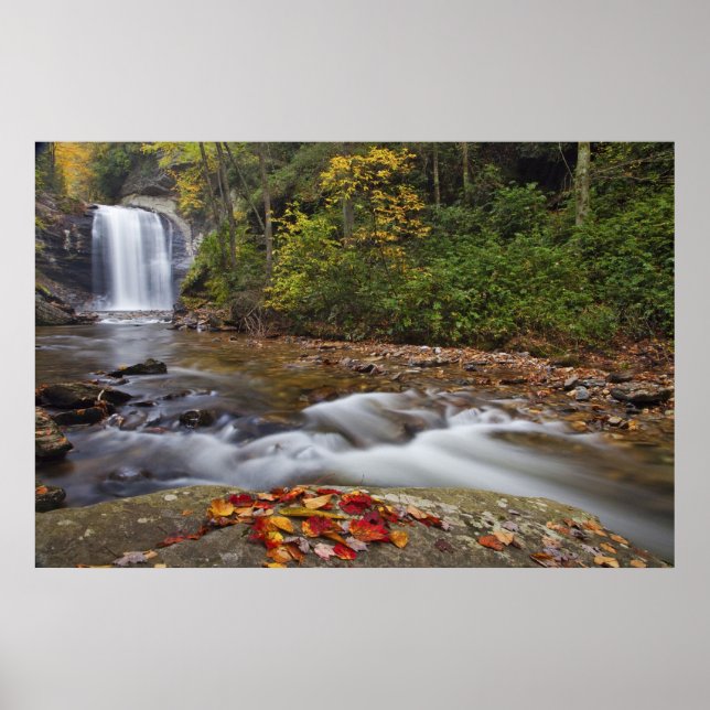 Affiches chute de Looking Glass dans le Pisgah National (Devant)