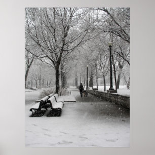 Affiches Chute de neige à Montréal, Québec