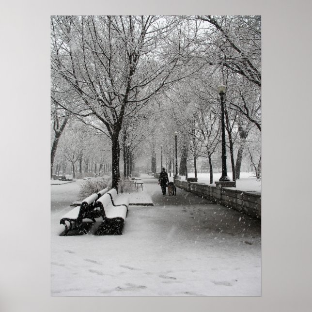Affiches Chute de neige à Montréal, Québec (Devant)