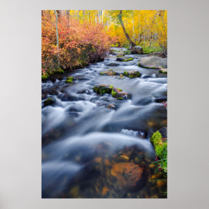 Affiches Chute le long du ruisseau Lundy, Californie