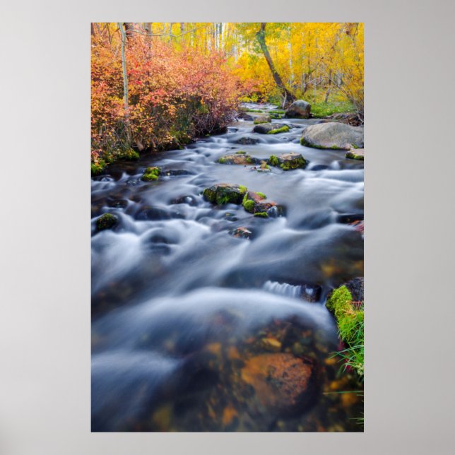 Affiches Chute le long du ruisseau Lundy, Californie (Devant)