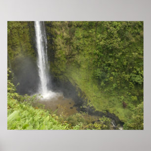 Affiches Chutes Akaka, côte Hamakua, île d'Hawaï,