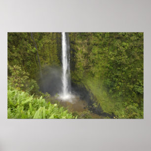 Affiches Chutes Akaka, côte Hamakua, île d'Hawaï,