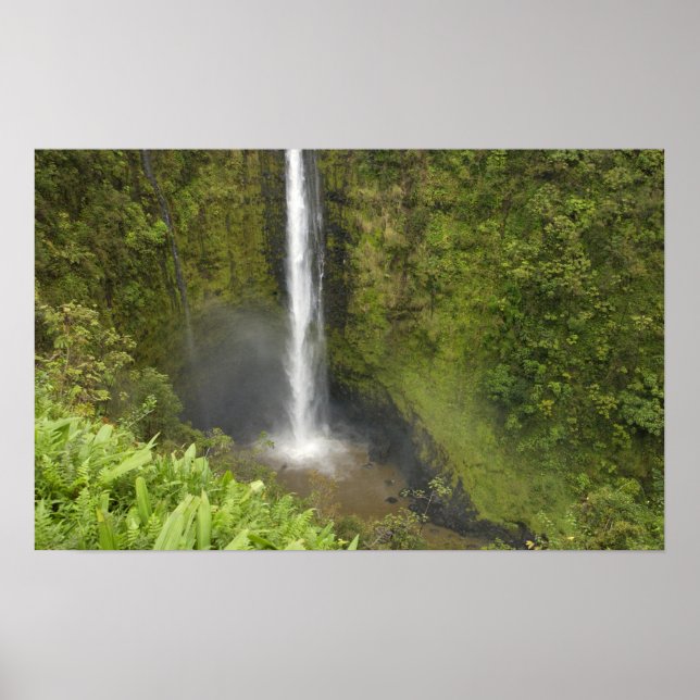Affiches Chutes Akaka, côte Hamakua, île d'Hawaï, (Devant)