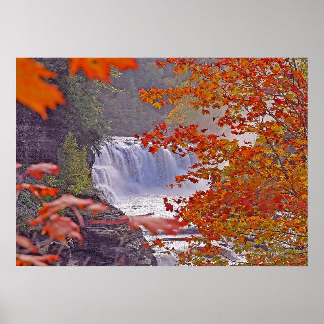 Affiches Chutes d'automne (Devant)