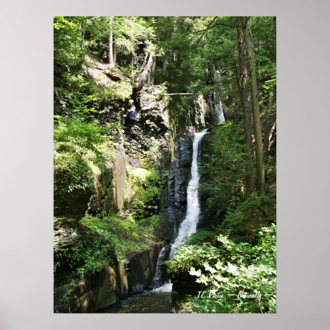 Affiches Chutes de fils d'argent (Devant)