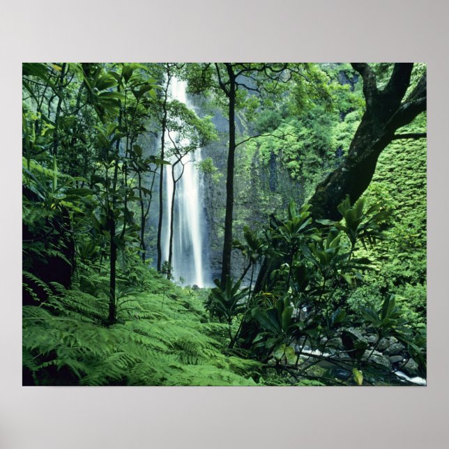 Affiches Chutes de Hanakapiai le long de la côte Na Pali, K (Devant)