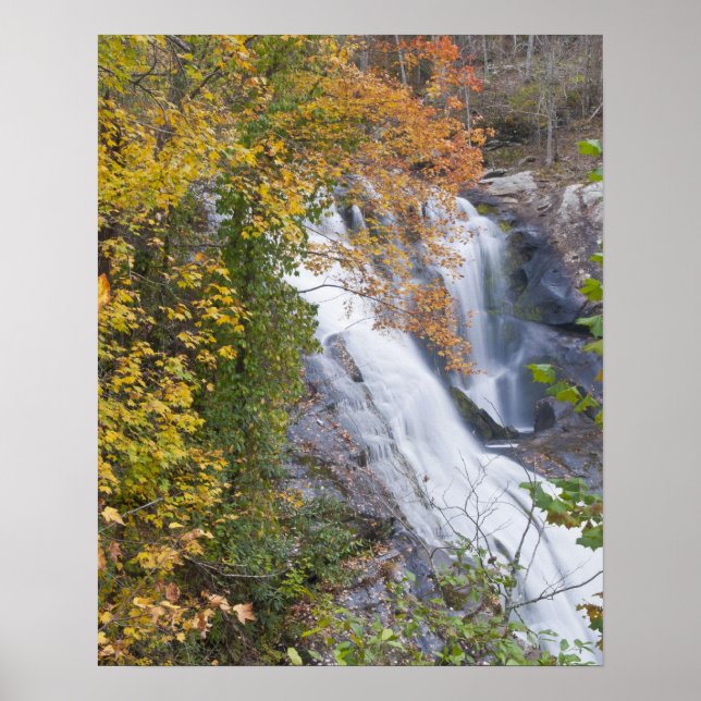 Affiches Chutes de la rivière Bald (Devant)