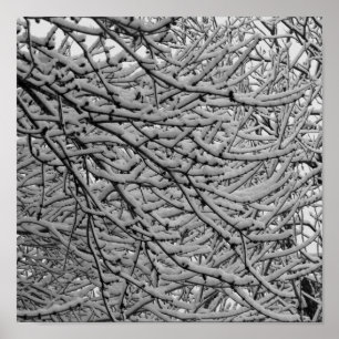 Affiches Chutes de neige de Shreveport