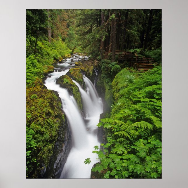 Affiches Chutes Sol Duc dans le parc national Olympique en  (Devant)