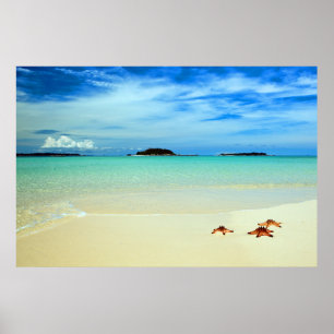 Affiches Ciel Bleu, Sable Blanc Et Étoiles De Mer Belitun