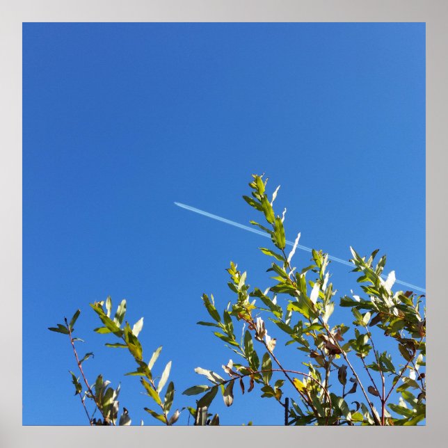 Affiches ciel clair (Devant)