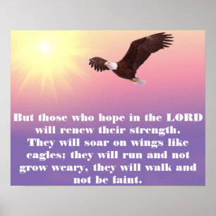 Affiches Ciel pastel, aigle, verset biblique Force de l'esp