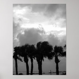 Affiches Ciels tropicaux Stormy en niveaux de gris