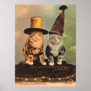 Affiches circa 1900 chats en RPPC casquette