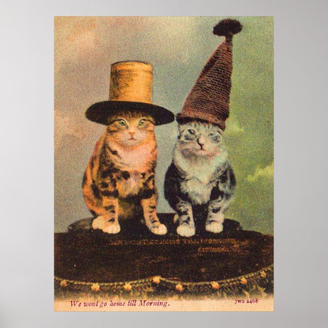 Affiches circa 1900 chats en RPPC casquette (Devant)