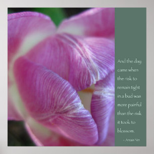 Affiches Citation Anais Nin