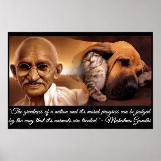 Affiches Citation d'animal Ghandi