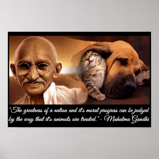 Affiches Citation d'animal Ghandi (Devant)