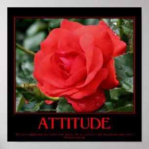 Affiches Citation d'attitude inspirée de Red Roses Thorns