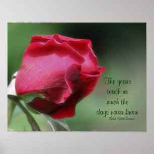 Affiches Citation de sagesse Rosebud Inspiration
