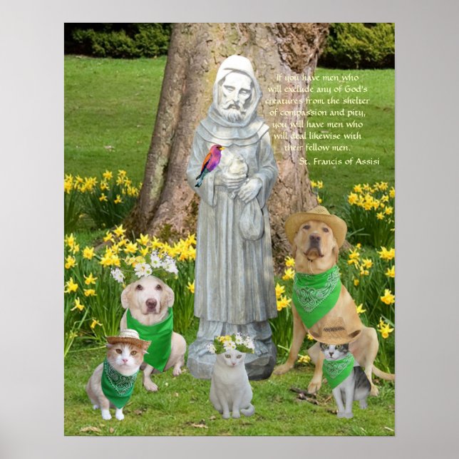 Affiches Citation de St. Francis (Devant)