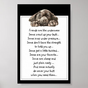Affiches Citation drôle À propos Les amis sont comme les so