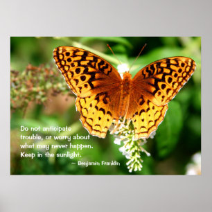 Affiches Citation Inspirant Conserver dans le Papillon oran