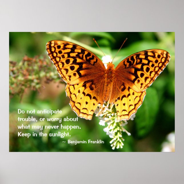 Affiches Citation Inspirant Conserver dans le Papillon oran (Devant)