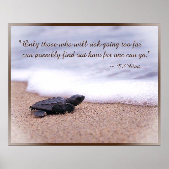 Affiches Citation Inspirationnelle Baby Sea Turtle Sand Oce (Devant)